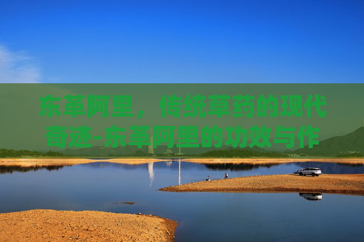 东革阿里，传统草药的现代奇迹-东革阿里的功效与作用及禁忌