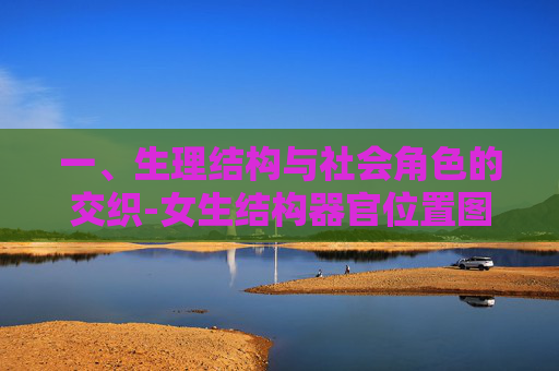 一、生理结构与社会角色的交织-女生结构器官位置图