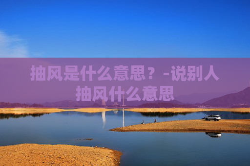 抽风是什么意思？-说别人抽风什么意思