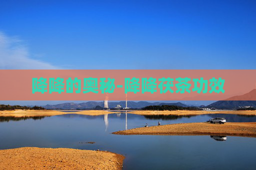 降降的奥秘-降降茯茶功效