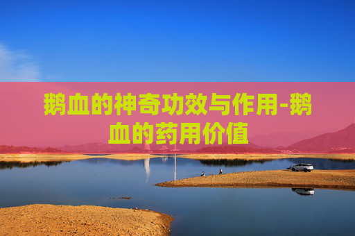 鹅血的神奇功效与作用-鹅血的药用价值