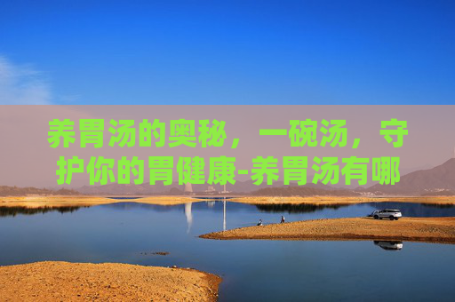 养胃汤的奥秘，一碗汤，守护你的胃健康-养胃汤有哪些怎么做