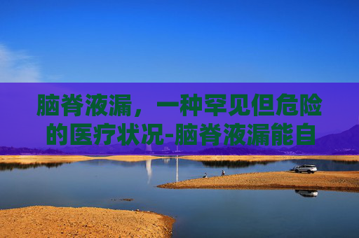 脑脊液漏，一种罕见但危险的医疗状况-脑脊液漏能自我修复吗