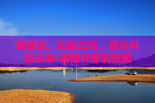 杨建辉，创新之光，照亮科技未来-杨建辉菲莉集团
