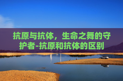 抗原与抗体，生命之舞的守护者-抗原和抗体的区别
