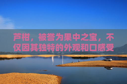 芦柑，被誉为果中之宝，不仅因其独特的外观和口感受到人们的喜爱，更因为它丰富的营养价值和多种健康功效而备受推崇。本文将深入探讨芦柑的功效与作用，帮助您更好地了解这种美味又健康的水果。-桔梗的功效与作用