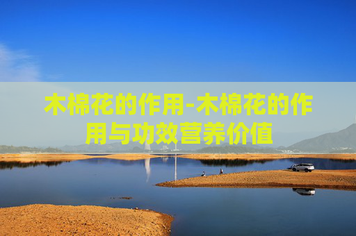 木棉花的作用-木棉花的作用与功效营养价值
