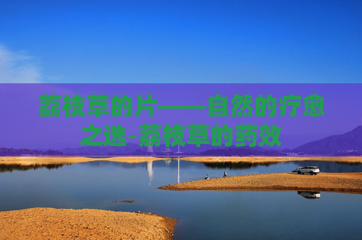荔枝草的片——自然的疗愈之选-荔枝草的药效