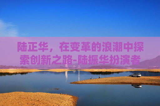 陆正华，在变革的浪潮中探索创新之路-陆振华扮演者