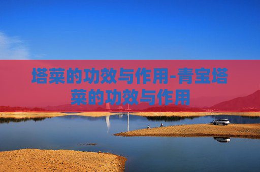塔菜的功效与作用-青宝塔菜的功效与作用