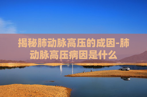 揭秘肺动脉高压的成因-肺动脉高压病因是什么