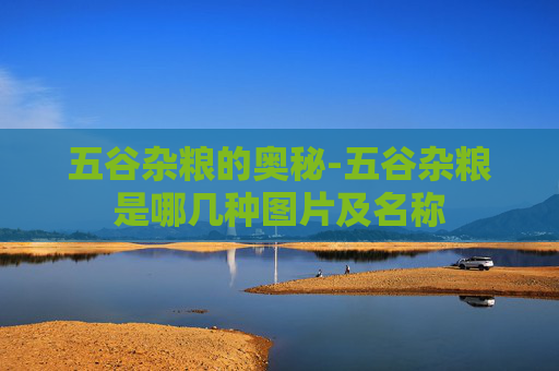 五谷杂粮的奥秘-五谷杂粮是哪几种图片及名称