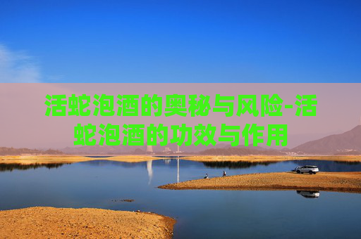 活蛇泡酒的奥秘与风险-活蛇泡酒的功效与作用