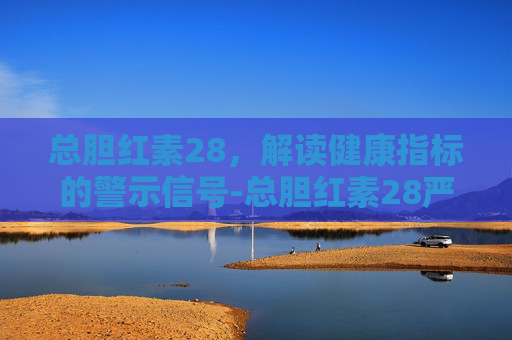 总胆红素28，解读健康指标的警示信号-总胆红素28严重吗?