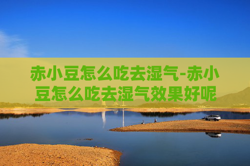 赤小豆怎么吃去湿气-赤小豆怎么吃去湿气效果好呢