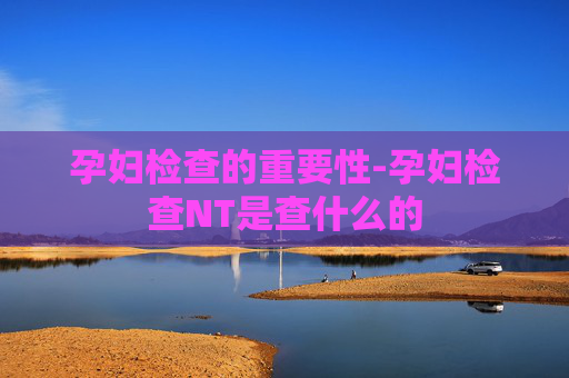 孕妇检查的重要性-孕妇检查NT是查什么的 孕妇检查的重要性-孕妇检查NT是查什么的