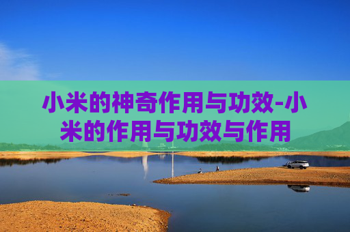 小米的神奇作用与功效-小米的作用与功效与作用