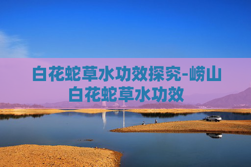 白花蛇草水功效探究-崂山白花蛇草水功效