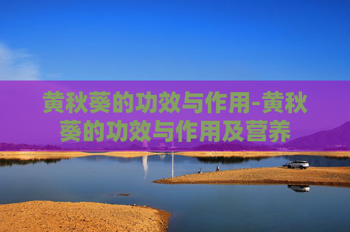 黄秋葵的功效与作用-黄秋葵的功效与作用及营养