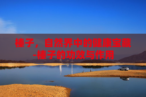 榛子，自然界中的健康宝藏-榛子的功效与作用