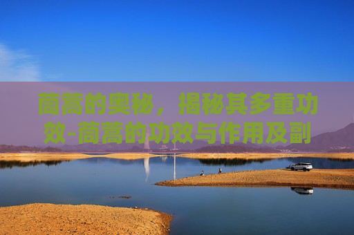 茼蒿的奥秘，揭秘其多重功效-茼蒿的功效与作用及副依作用
