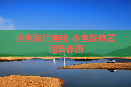 小鱼际的奥秘-小鱼际位置图及作用