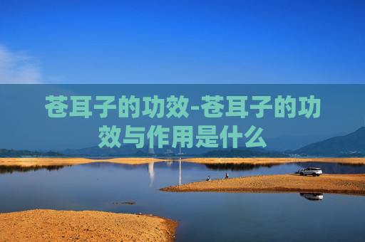 苍耳子的功效-苍耳子的功效与作用是什么