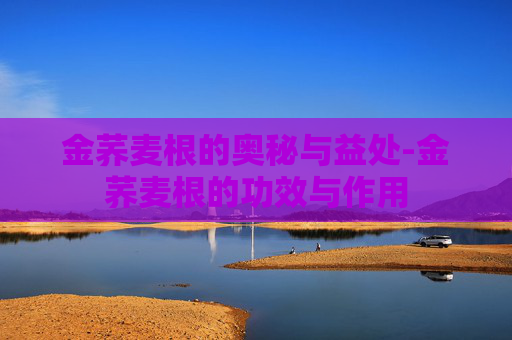 金荞麦根的奥秘与益处-金荞麦根的功效与作用