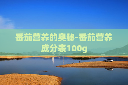 番茄营养的奥秘-番茄营养成分表100g
