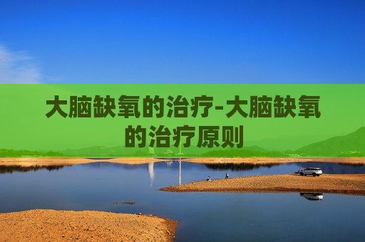 大脑缺氧的治疗-大脑缺氧的治疗原则