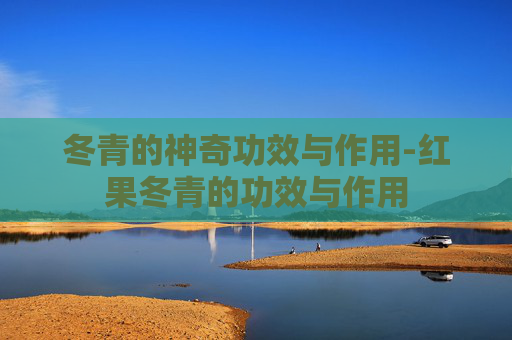 冬青的神奇功效与作用-红果冬青的功效与作用