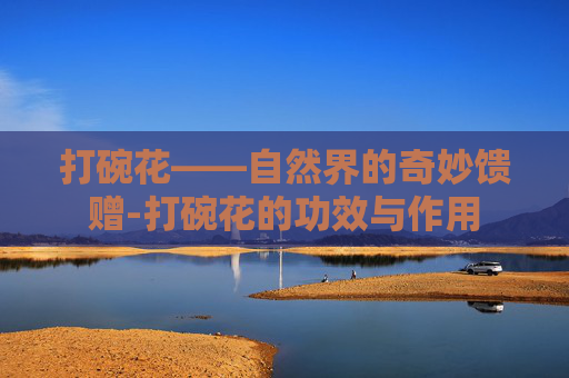 打碗花——自然界的奇妙馈赠-打碗花的功效与作用