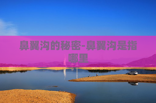 鼻翼沟的秘密-鼻翼沟是指哪里
