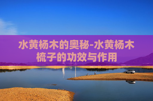 水黄杨木的奥秘-水黄杨木梳子的功效与作用