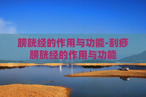 膀胱经的作用与功能-刮痧膀胱经的作用与功能