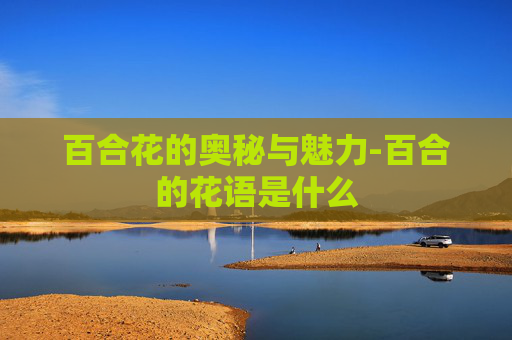 百合花的奥秘与魅力-百合的花语是什么