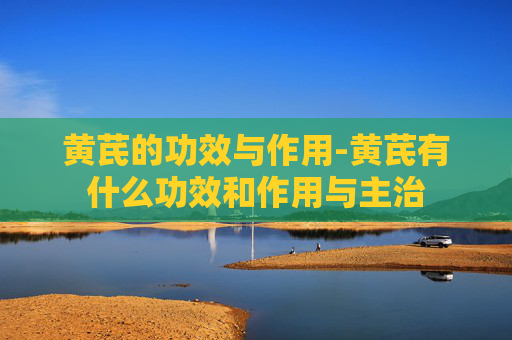 黄芪的功效与作用-黄芪有什么功效和作用与主治