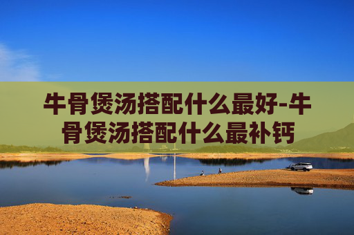 牛骨煲汤搭配什么最好-牛骨煲汤搭配什么最补钙