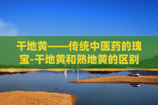 干地黄——传统中医药的瑰宝-干地黄和熟地黄的区别