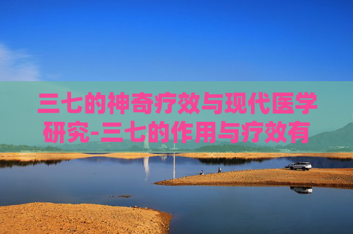三七的神奇疗效与现代医学研究-三七的作用与疗效有哪些
