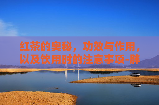 红茶的奥秘，功效与作用，以及饮用时的注意事项-胖大海罗汉果橘红茶的功效与作用禁忌