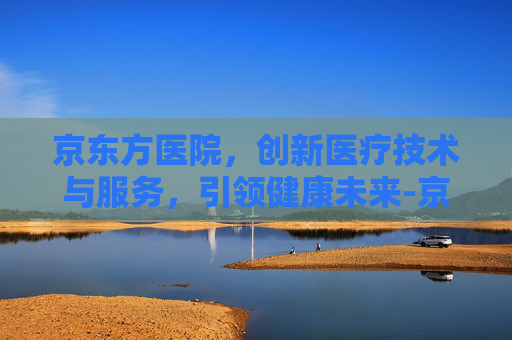 京东方医院，创新医疗技术与服务，引领健康未来-京东方医院是正规医院吗