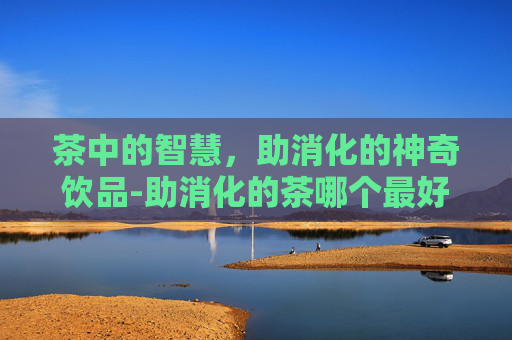 茶中的智慧，助消化的神奇饮品-助消化的茶哪个最好