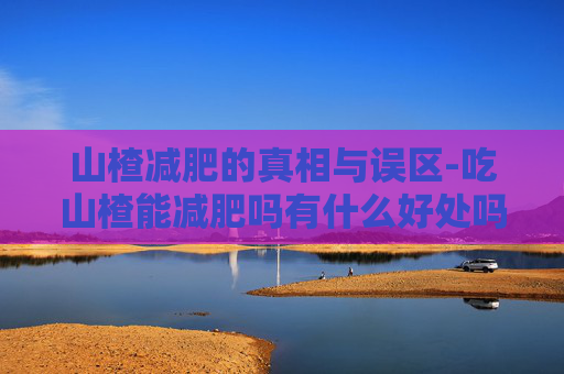 山楂减肥的真相与误区-吃山楂能减肥吗有什么好处吗