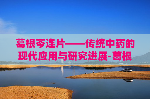 葛根芩连片——传统中药的现代应用与研究进展-葛根芩连片的成分