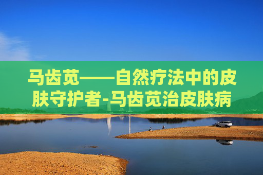 马齿苋——自然疗法中的皮肤守护者-马齿苋治皮肤病吗有效果吗