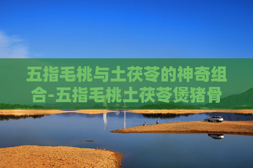 五指毛桃与土茯苓的神奇组合-五指毛桃土茯苓煲猪骨汤配料