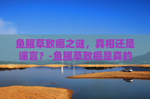 鱼腥草致癌之谜，真相还是谣言？-鱼腥草致癌是真的吗?专家给你权威答案
