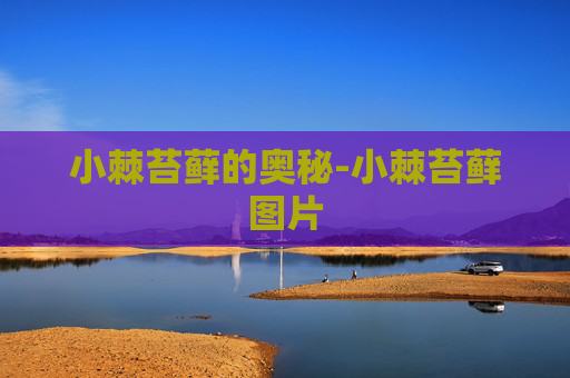 小棘苔藓的奥秘-小棘苔藓图片