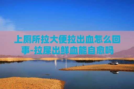 上厕所拉大便拉出血怎么回事-拉屎出鲜血能自愈吗